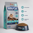 BILLY CAT SELECT CASTRADO