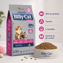 BILLY CAT FILHOTES