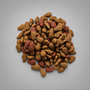 BIRBO CARNE CÃES ADULTOS