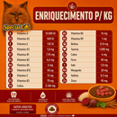 SPECIAL CAT ADULTOS SABOR CARNE